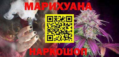 индика Гусев