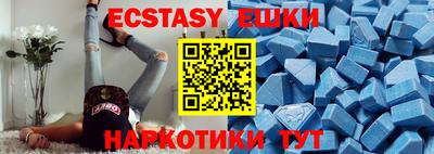 индика Гусев