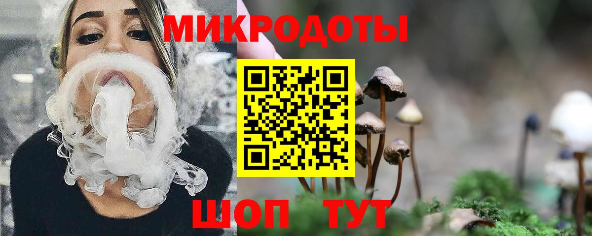 Галлюциногенные грибы GOLDEN TEACHER  Вход с VPN  Светлоград 